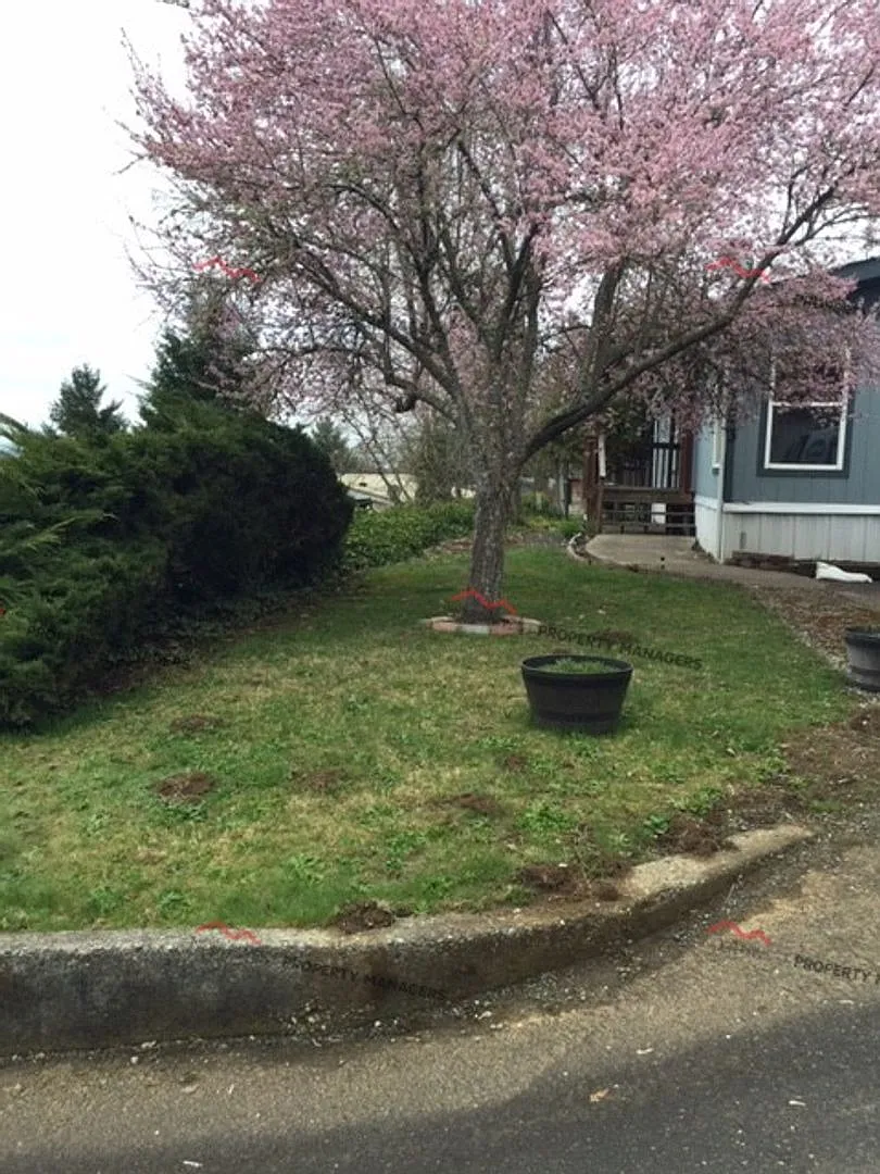 r267a Skyview — Photo 2