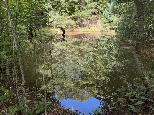 Tbd Casey Mountain Rd, Purlear, NC 28665