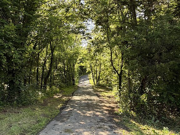 3rd image of 244A Access Rd