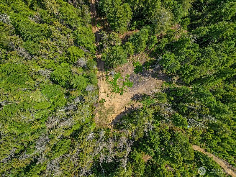 4th image of 905 NE Tahuya Blacksmith Road