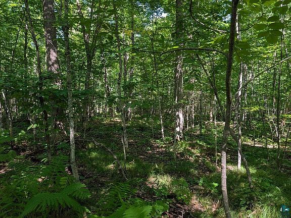 3rd image of xxx Cherryville Rd
