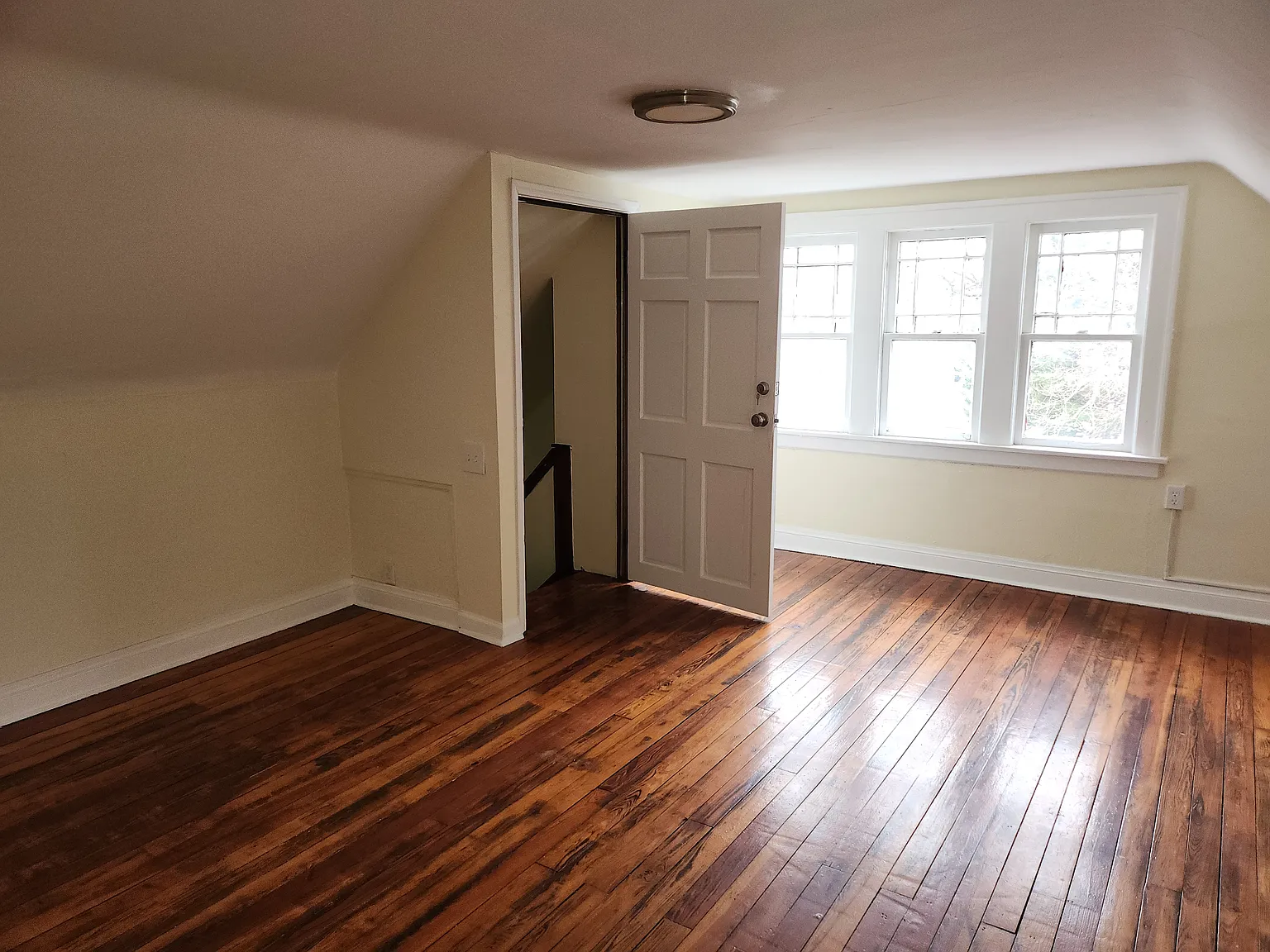 1 bed, 533 sqft, $975 — Photo 2