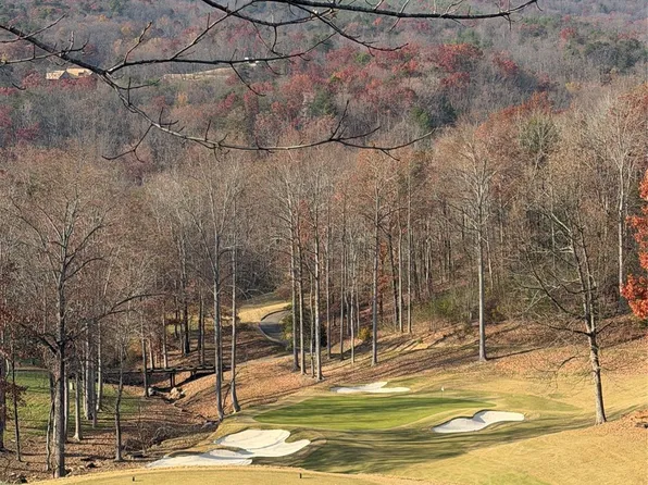 99999 Chestertown Dr, Mill Spring, NC 28756