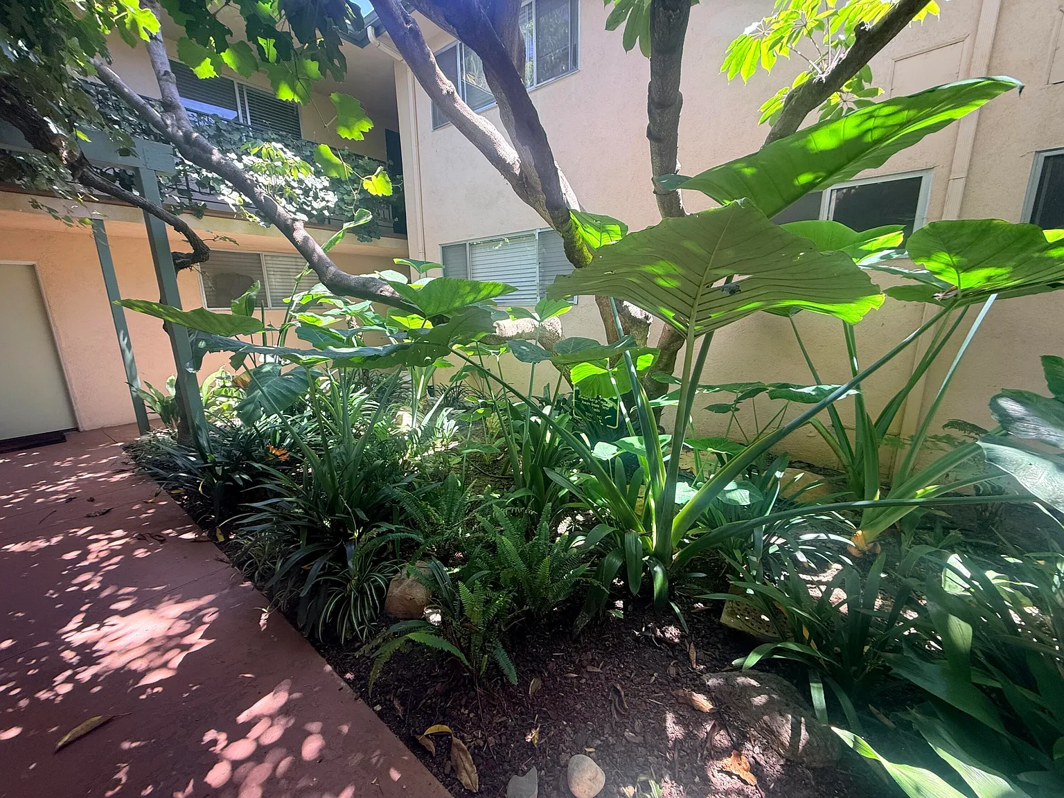 1 bed, 1.0 bath, 788 sqft, $3,400 — Photo 2