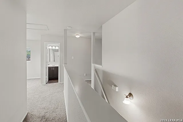 25513 Gold Yarrow — Photo 17