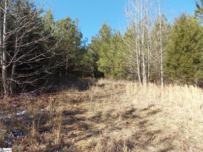 0 Carrington Ln, Starr, SC, 29684