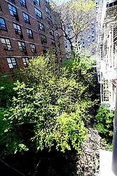 Rented by Spark Properties