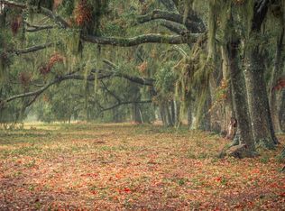 7311 Jenkins Hill Rd, Edisto Island, SC 29438