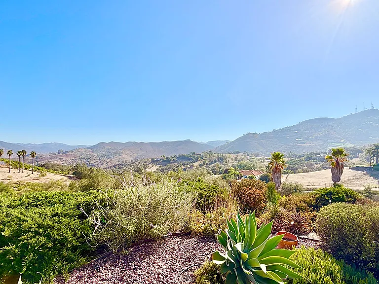 1509 Macadamia Dr — Photo 24