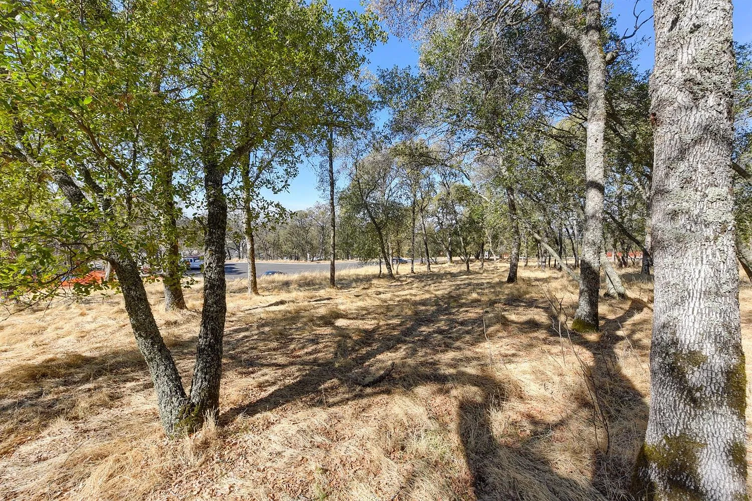 193 Cosimo Ct photo 1