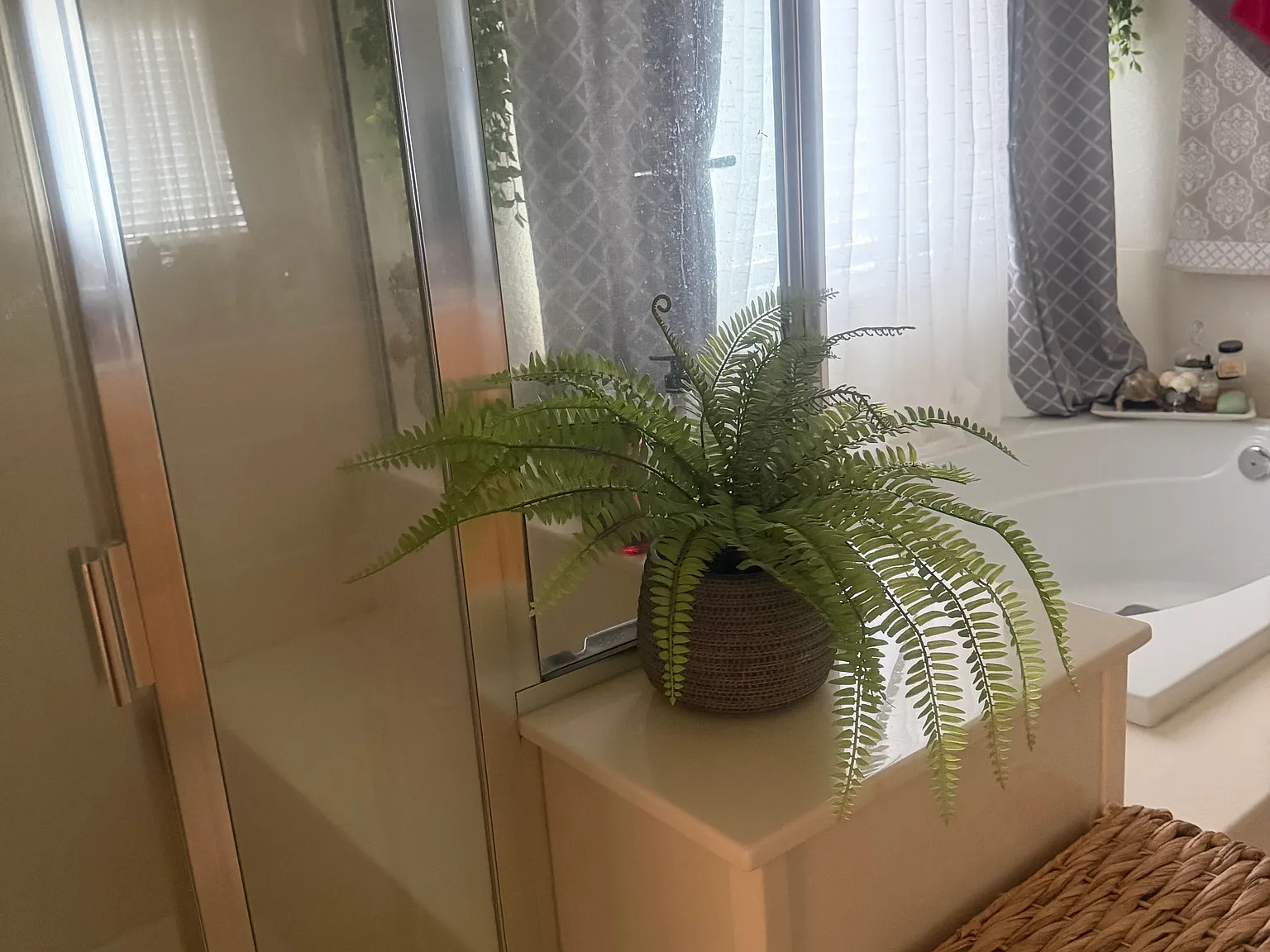 4 bed, 6000 sqft, $1,000 — Photo 2