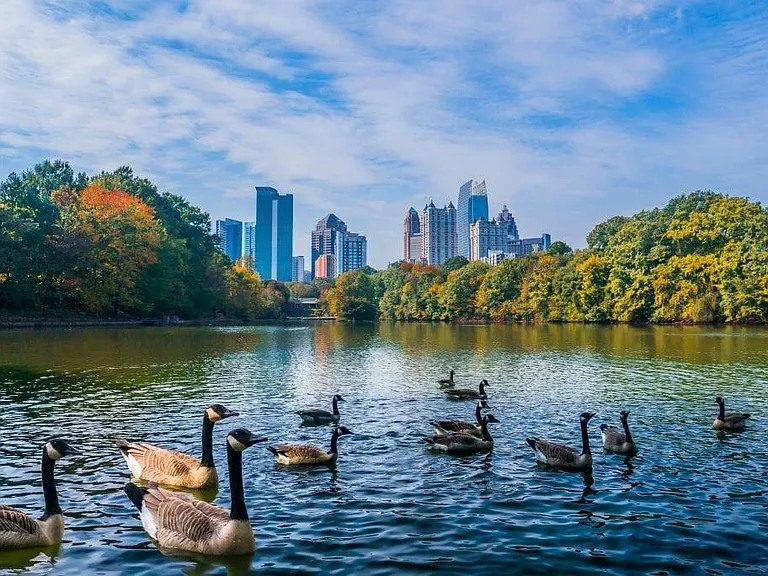 Piedmont Park (5 min walk from apartment). Can see the building across the lake (right side, looks like a castle).