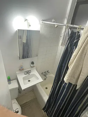 Rented by Eric Goodman Realty Corp | media 9