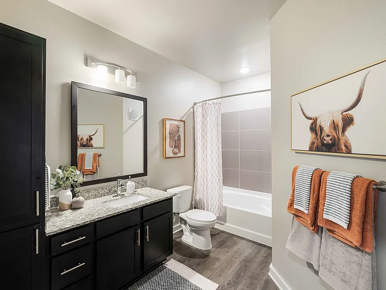 Freedman Model Bath