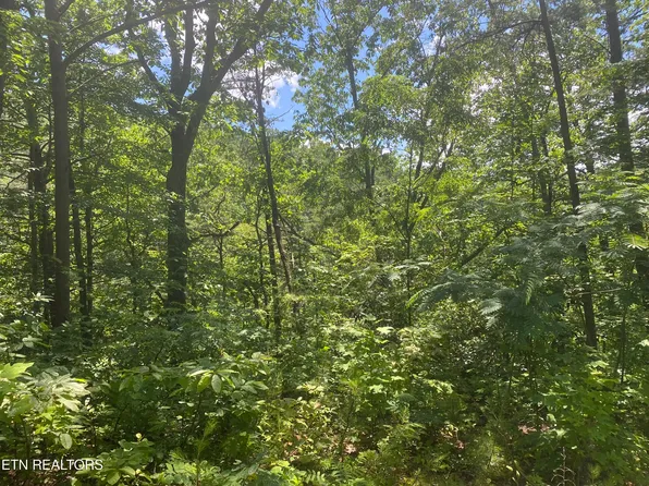 54 Magnolia Pl, Sevierville, TN 37876