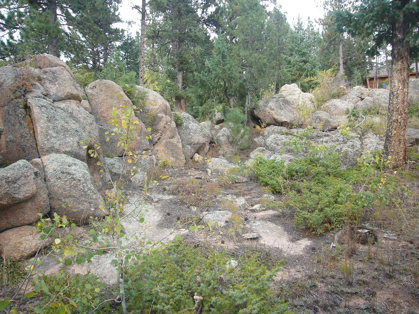 For Rent - Conifer 3+ bedroom, 2.75 bath home w/2 car att. garage on 1.7 acres. — Photo 1