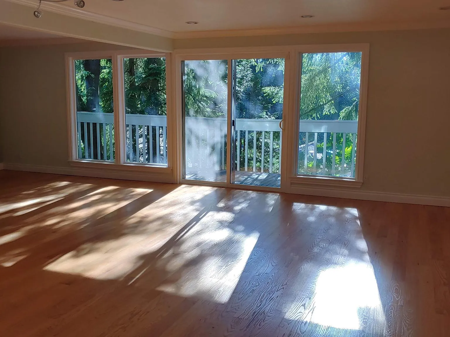 SE 57th St, Bellevue — Photo 3
