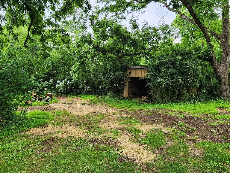 780 Company Farm Rd — Photo 49