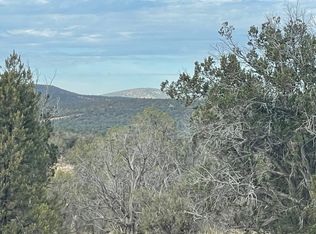53784 N Juniper Way, Seligman, AZ 86337