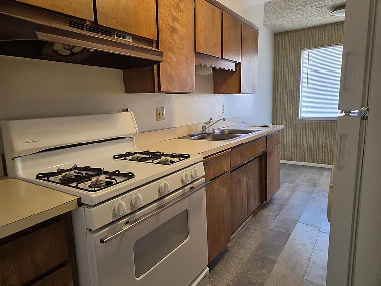 1008 E Logan Ave #3 — Photo 4