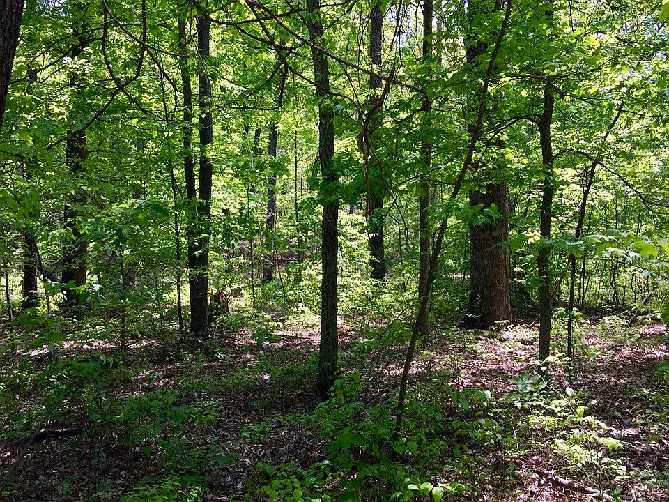 2nd image of Moose Hill Parkway