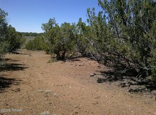 County Road 8026, Concho, AZ 85924