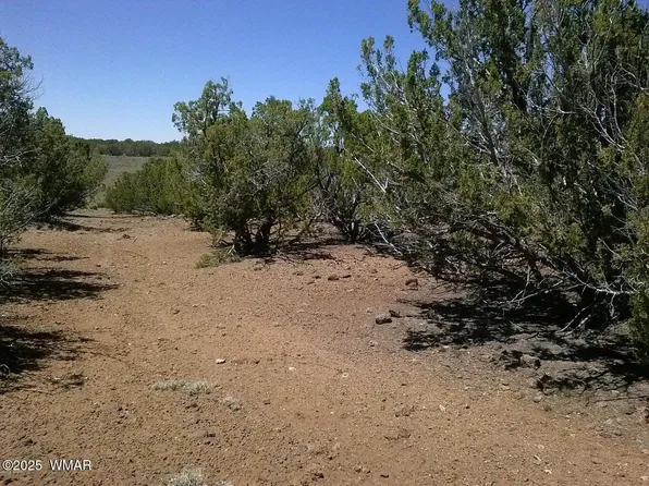 County Road 8026, Concho, AZ 85924