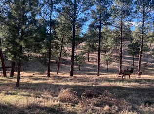 215 White Mountain Meadows Dr, Ruidoso, NM 88345