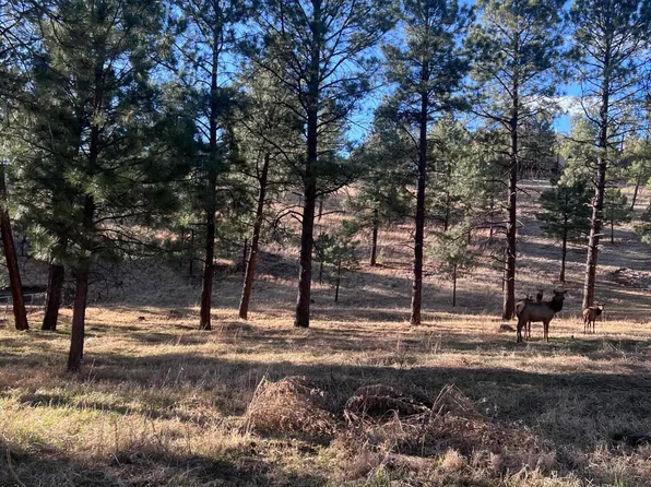 215 White Mountain Meadows Dr, Ruidoso, NM 88345