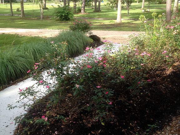 FRONT LANDSCAPING