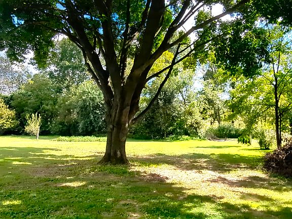 Part of the side and back yard with nice shade tree.