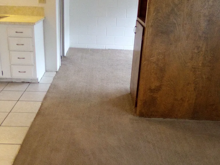 1051 S 4th Ave #34 — Photo 2