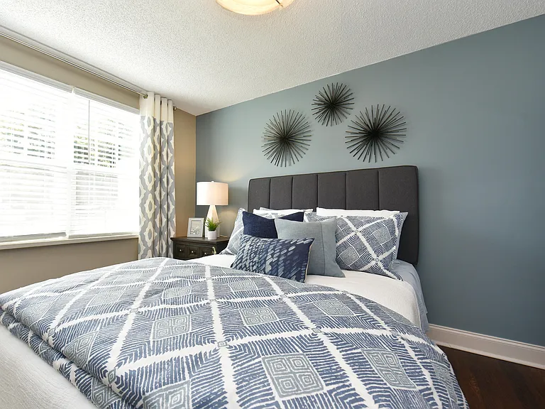 Cozy bedroom with carpet