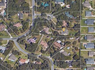 4728 Chelsea Ct, Kissimmee, FL 34744