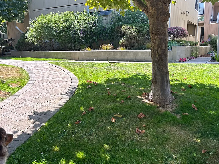 820 Casanova Ave #41 — Photo 12