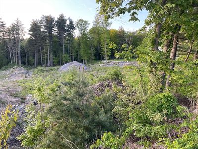 4 Foxboro Rd, Wrentham, MA, 02093