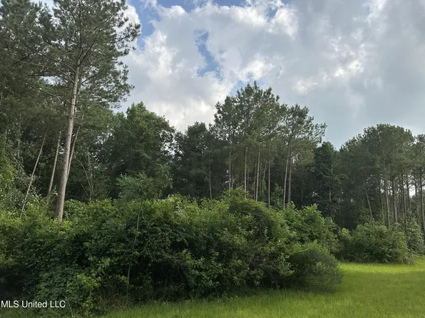 Indian Xing #91, Brandon, MS 39042