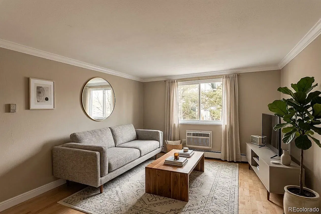 1 bed, 564 sqft, $1,500 — Photo 1