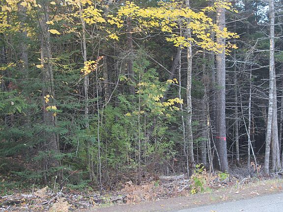 3rd image of 177 Gin Cove Road
