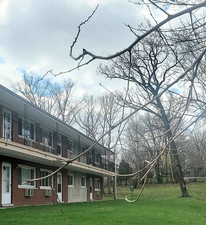 1st image of 8512 W 87th St #12
