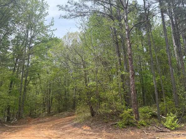 2077 Bostic Rd, Gordo, AL 35466