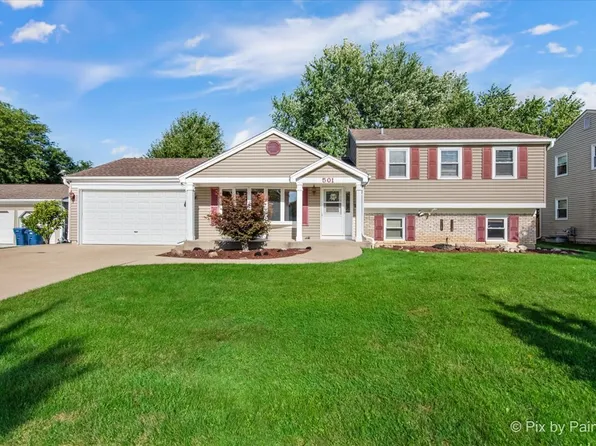 501 Argyll Ln, Schaumburg, IL 60194