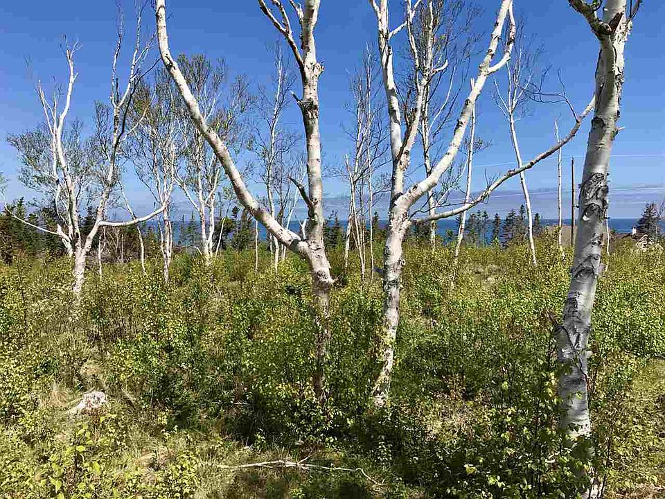 2nd image of LOT 3 Seabrook Way