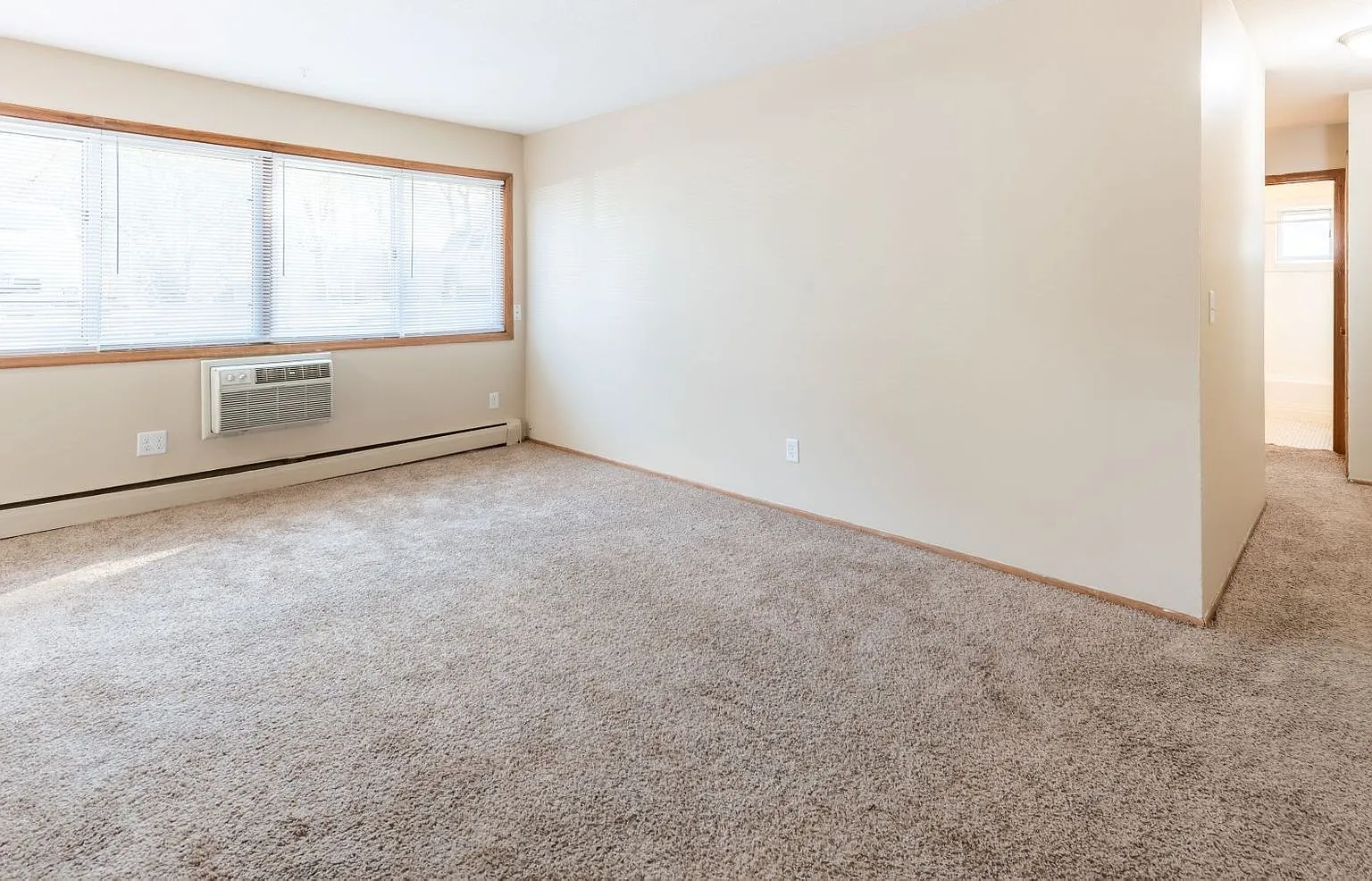 Hyde Park Where Comfort Meets Convenience — Photo 4