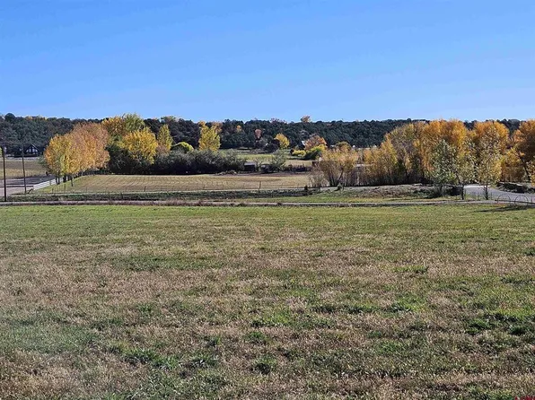 239 Hawks View Dr, Durango, CO 81303