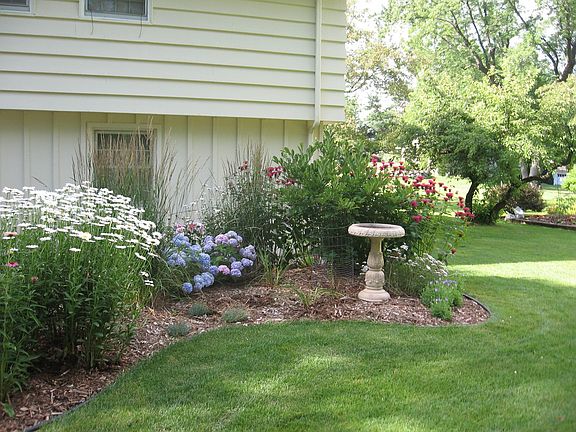 new landscaping 2009-10