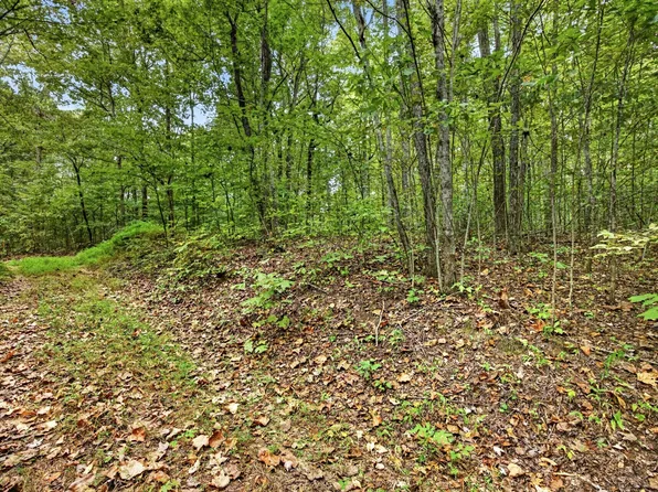 0 Colepin Ln Lot X-21-2, Celina, TN 38551