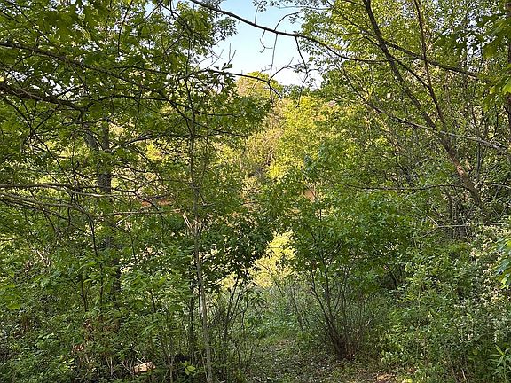 3rd image of 997 152nd Ave Lot 69