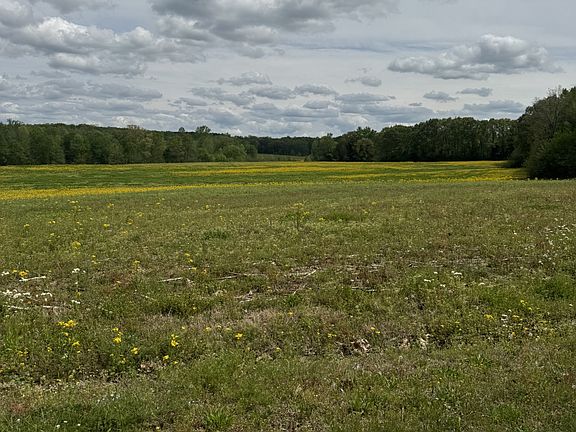 4th image of 0 Taylor Cemetery Rd