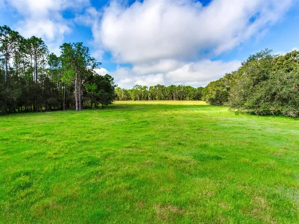 840 County Road 665, Ona, FL 33865